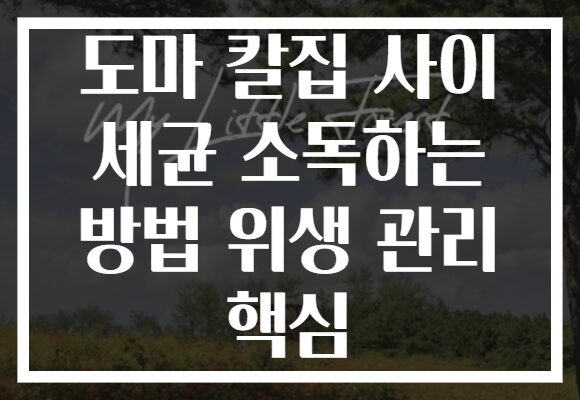 도마 칼집 사이 세균 소독하는 방법 위생 관리 핵심 도마 칼집 사이 세균 소독하는 방법 위생 관리 핵심