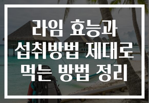 라임 효능과 섭취방법 제대로 먹는 방법 정리 라임 효능과 섭취방법 제대로 먹는 방법 정리