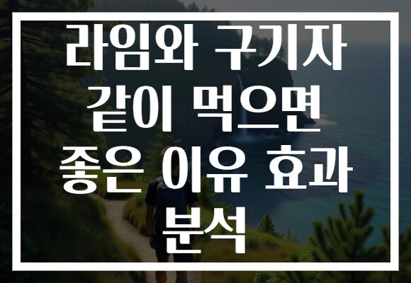 라임와 구기자 같이 먹으면 좋은 이유 효과 분석