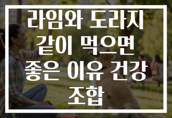 라임와 도라지 같이 먹으면 좋은 이유 건강 조합