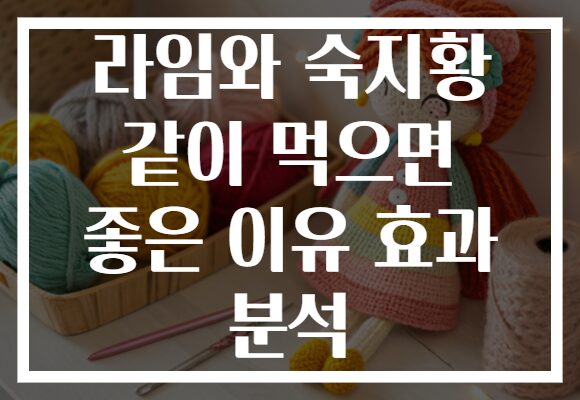 라임와 숙지황 같이 먹으면 좋은 이유 효과 분석