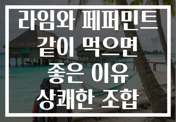 라임와 페퍼민트 같이 먹으면 좋은 이유 상쾌한 조합