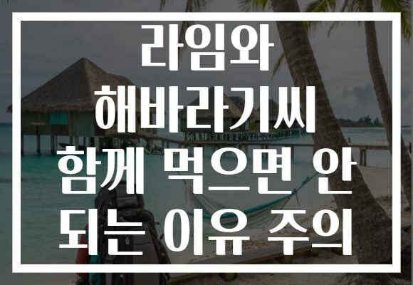 라임와 해바라기씨 함께 먹으면 안 되는 이유 주의