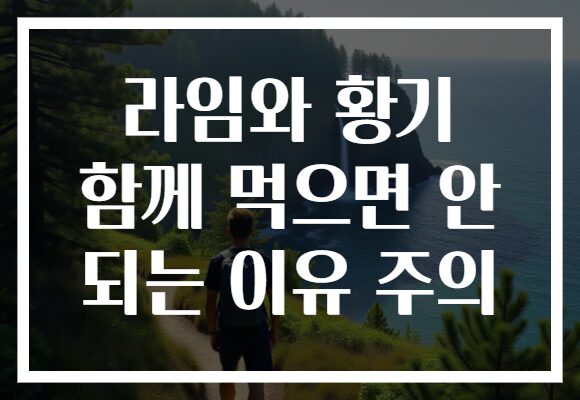 라임와 황기 함께 먹으면 안 되는 이유 주의