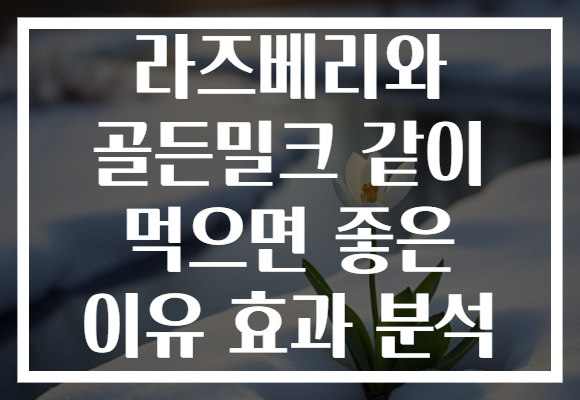 라즈베리와 골든밀크 같이 먹으면 좋은 이유 효과 분석