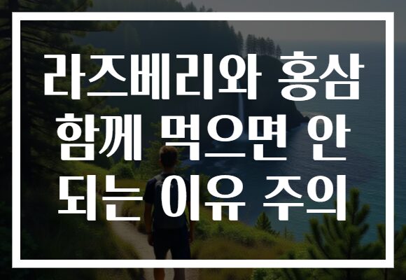 라즈베리와 홍삼 함께 먹으면 안 되는 이유 주의