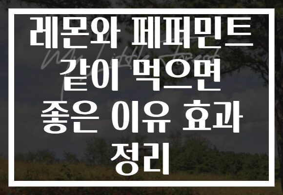 레몬와 페퍼민트 같이 먹으면 좋은 이유 효과 정리