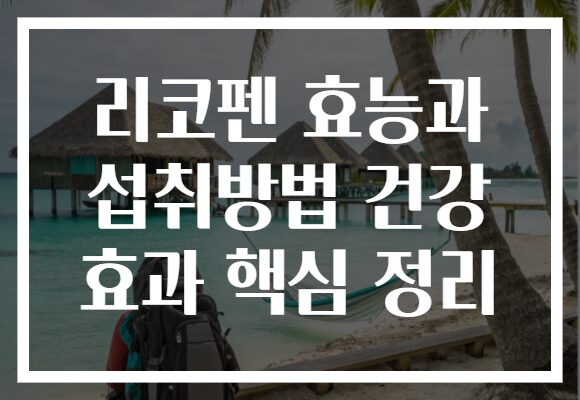 리코펜 효능과 섭취방법 건강 효과 핵심 정리