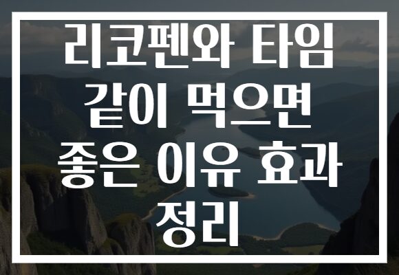 리코펜와 타임 같이 먹으면 좋은 이유 효과 정리 리코펜와 타임 같이 먹으면 좋은 이유 효과 정리