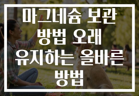 마그네슘 보관 방법 오래 유지하는 올바른 방법