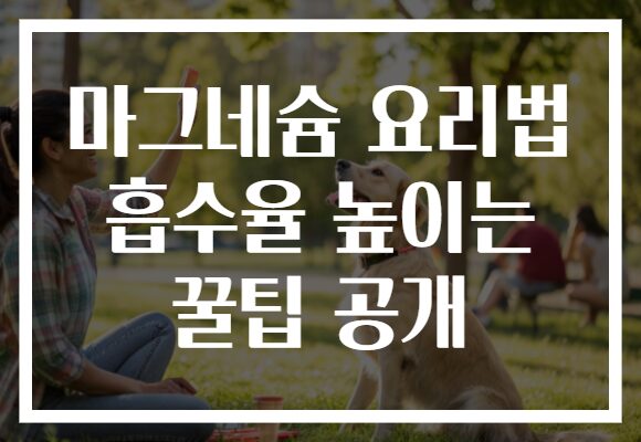 마그네슘 요리법 흡수율 높이는 꿀팁 공개 마그네슘 요리법 흡수율 높이는 꿀팁 공개