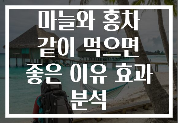 마늘와 홍차 같이 먹으면 좋은 이유 효과 분석 마늘와 홍차 같이 먹으면 좋은 이유 효과 분석