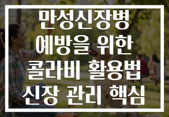 만성신장병 예방을 위한 콜라비 활용법 신장 관리 핵심