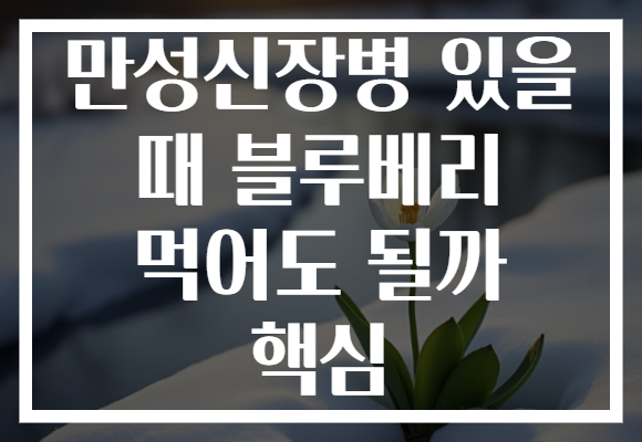 만성신장병 있을 때 블루베리 먹어도 될까 핵심