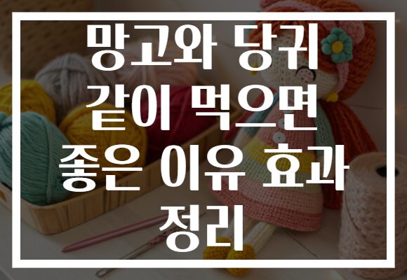 망고와 당귀 같이 먹으면 좋은 이유 효과 정리