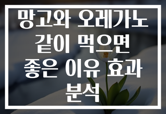 망고와 오레가노 같이 먹으면 좋은 이유 효과 분석