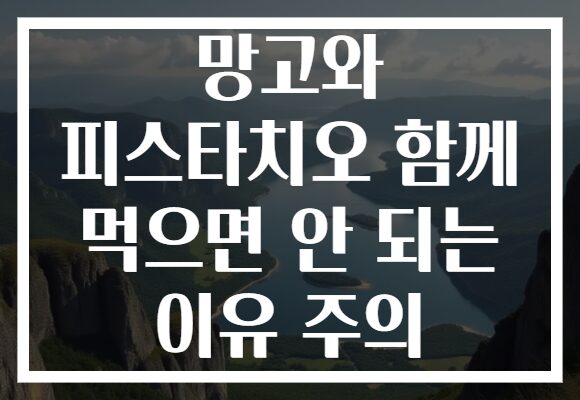 망고와 피스타치오 함께 먹으면 안 되는 이유 주의