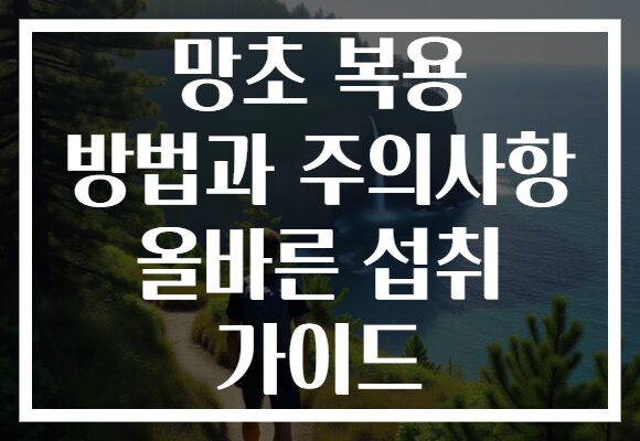 망초 복용 방법과 주의사항 올바른 섭취 가이드 망초 복용 방법과 주의사항 올바른 섭취 가이드