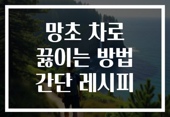 망초 차로 끓이는 방법 간단 레시피 망초 차로 끓이는 방법 간단 레시피