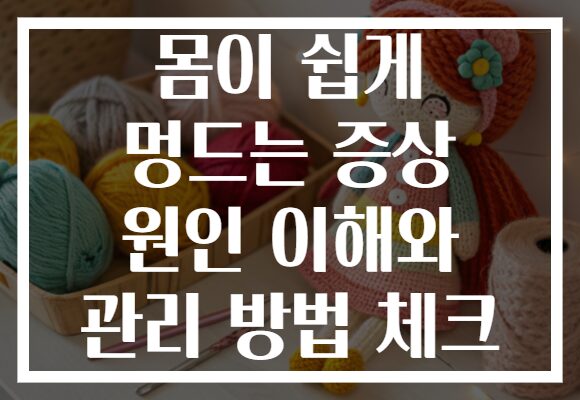 몸이 쉽게 멍드는 증상 원인 이해와 관리 방법 체크