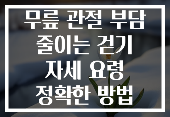 무릎 관절 부담 줄이는 걷기 자세 요령 정확한 방법 무릎 관절 부담 줄이는 걷기 자세 요령 정확한 방법