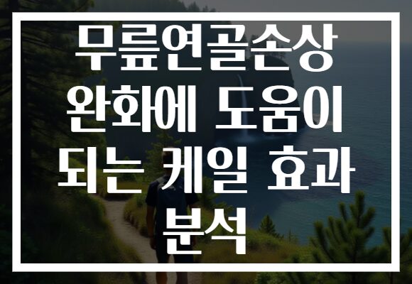 무릎연골손상 완화에 도움이 되는 케일 효과 분석