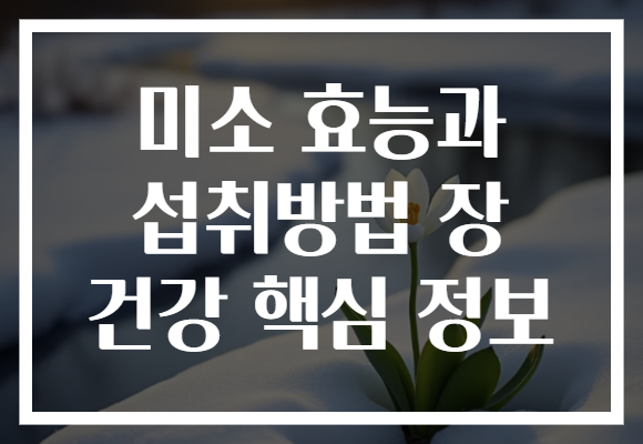 미소 효능과 섭취방법 장 건강 핵심 정보