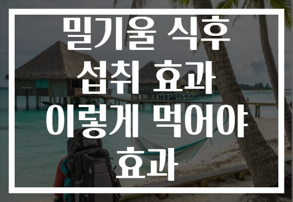 밀기울 식후 섭취 효과 이렇게 먹어야 효과