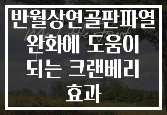 반월상연골판파열 완화에 도움이 되는 크랜베리 효과