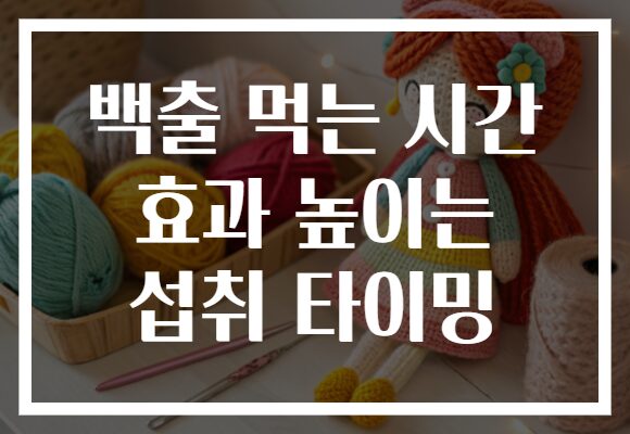 백출 먹는 시간 효과 높이는 섭취 타이밍