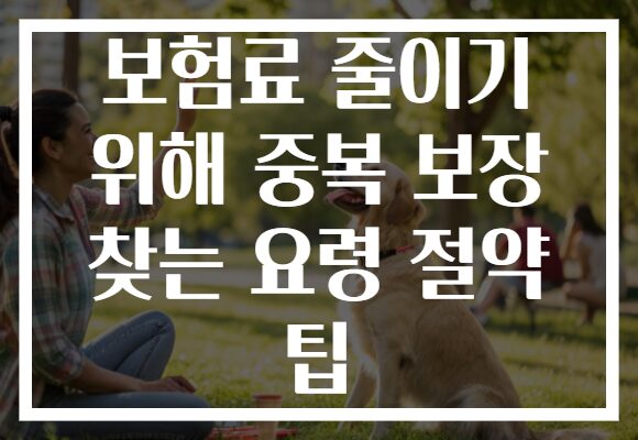 보험료 줄이기 위해 중복 보장 찾는 요령 절약 팁