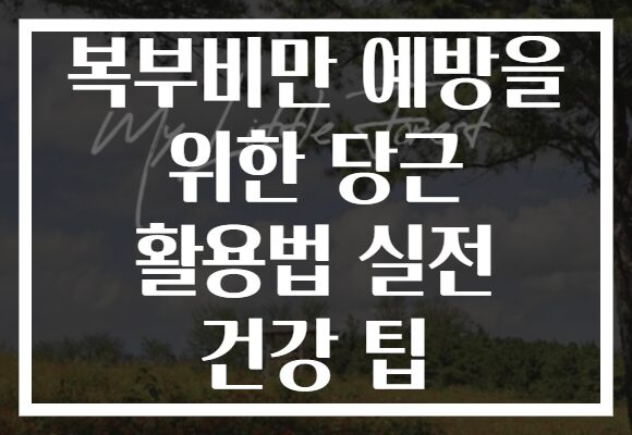 복부비만 예방을 위한 당근 활용법 실전 건강 팁
