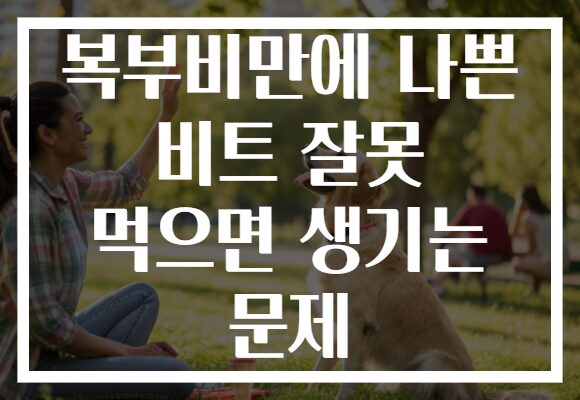 복부비만에 나쁜 비트 잘못 먹으면 생기는 문제 복부비만에 나쁜 비트 잘못 먹으면 생기는 문제