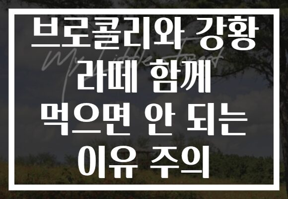 브로콜리와 강황 라떼 함께 먹으면 안 되는 이유 주의