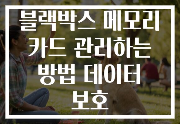 블랙박스 메모리 카드 관리하는 방법 데이터 보호 블랙박스 메모리 카드 관리하는 방법 데이터 보호