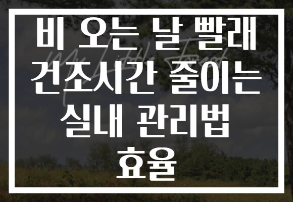 비 오는 날 빨래 건조시간 줄이는 실내 관리법 효율 비 오는 날 빨래 건조시간 줄이는 실내 관리법 효율