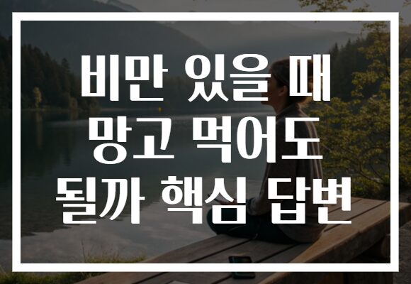 비만 있을 때 망고 먹어도 될까 핵심 답변