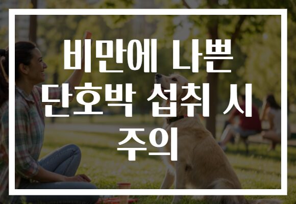 비만에 나쁜 단호박 섭취 시 주의