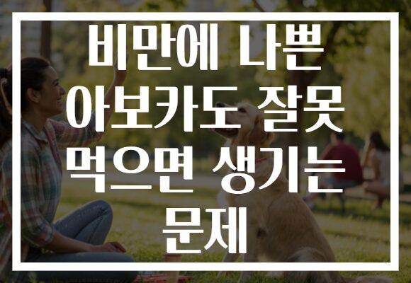 비만에 나쁜 아보카도 잘못 먹으면 생기는 문제