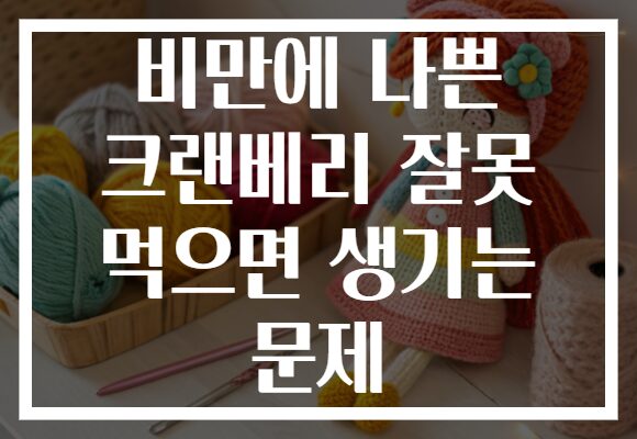 비만에 나쁜 크랜베리 잘못 먹으면 생기는 문제