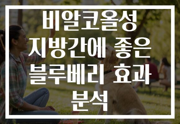 비알코올성 지방간에 좋은 블루베리 효과 분석