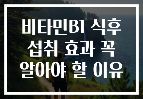 비타민B1 식후 섭취 효과 꼭 알아야 할 이유