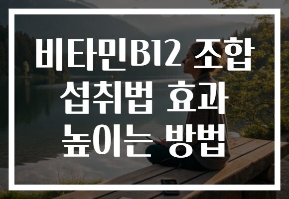 비타민B12 조합 섭취법 효과 높이는 방법