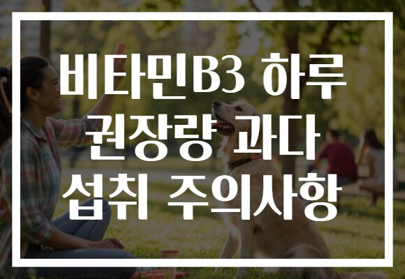 비타민B3 하루 권장량 과다 섭취 주의사항