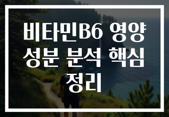 비타민B6 영양 성분 분석 핵심 정리