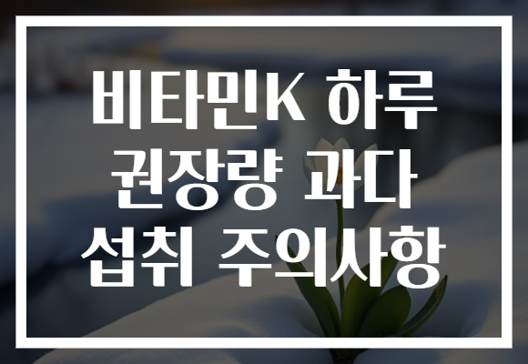 비타민K 하루 권장량 과다 섭취 주의사항
