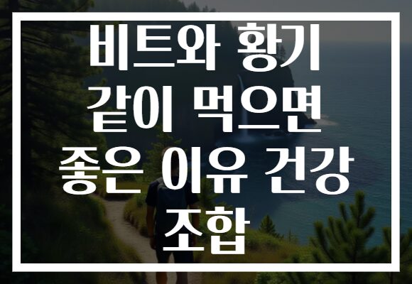 비트와 황기 같이 먹으면 좋은 이유 건강 조합