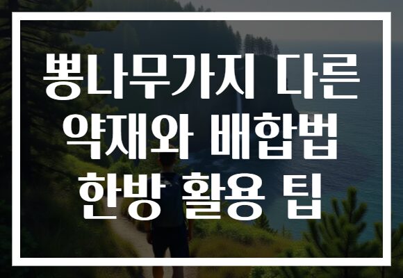 뽕나무가지 다른 약재와 배합법 한방 활용 팁