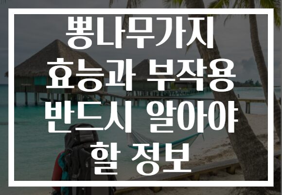 뽕나무가지 효능과 부작용 반드시 알아야 할 정보