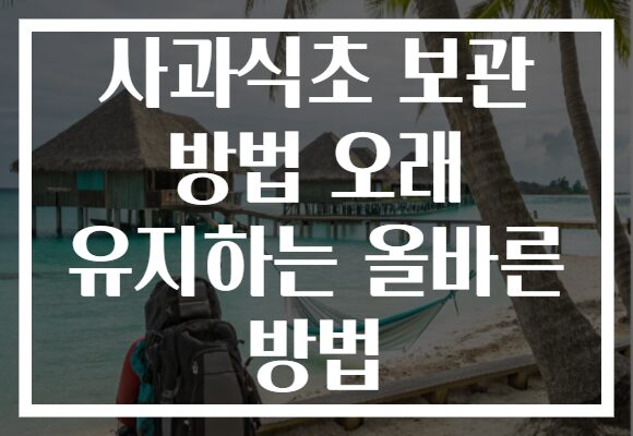 사과식초 보관 방법 오래 유지하는 올바른 방법